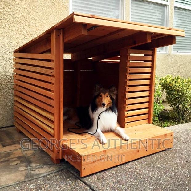 Dog Kernel For Sale · Photo 5