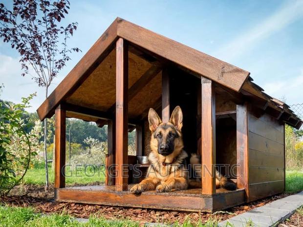 Dog Kernel For Sale · Photo 3