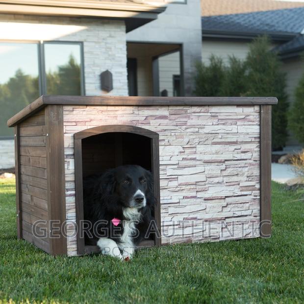 Dog Kernel For Sale · Photo 8
