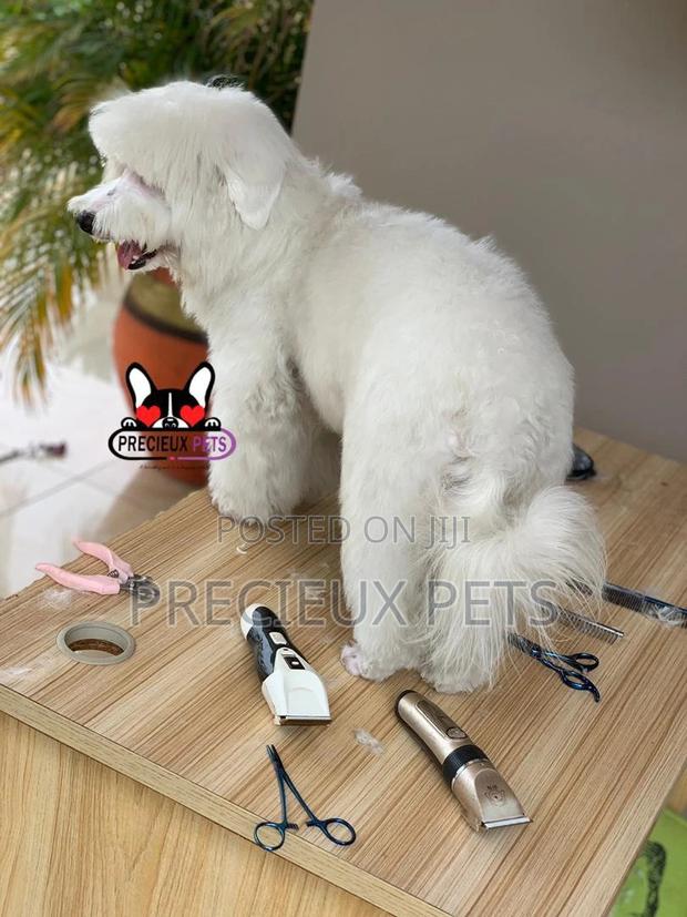 Miniatures Poodle Grooming Service · Photo 2