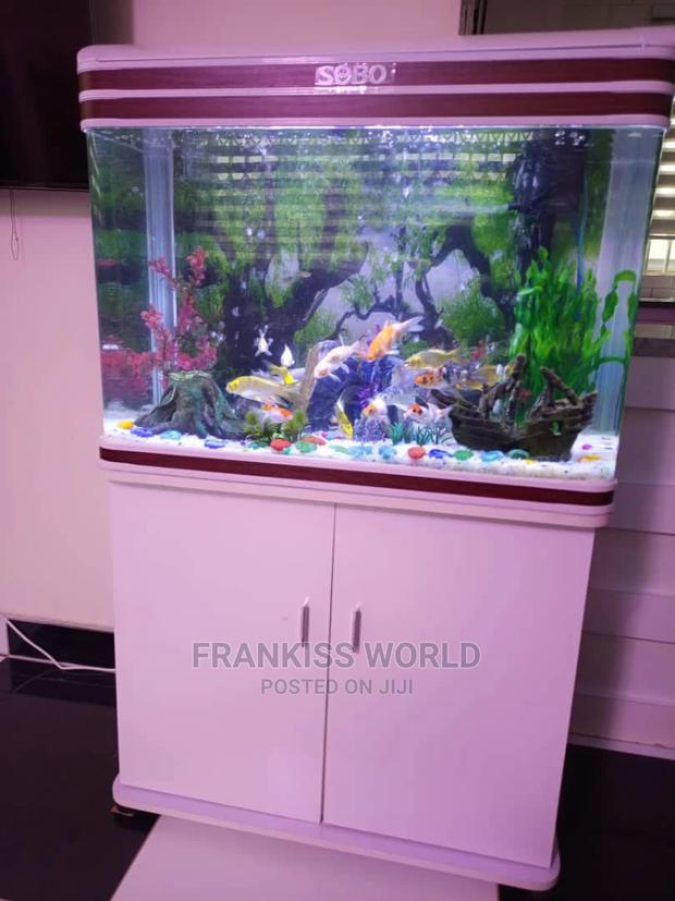 Inported Aquarium · Photo 1