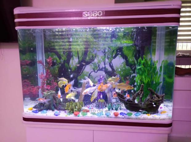 Inported Aquarium · Photo 2