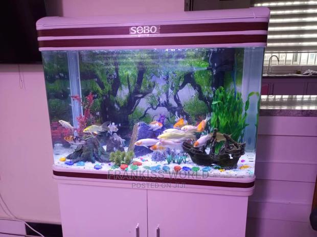 Inported Aquarium · Photo 3