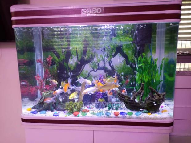 Inported Aquarium · Photo 4