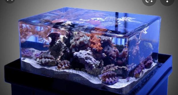 Package Aquariums · Photo 3