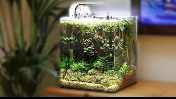 Package Aquariums · Photo 1