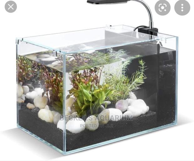 Package Aquariums · Photo 2