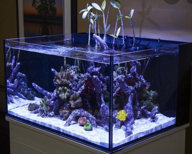 Package Aquariums · Photo 5