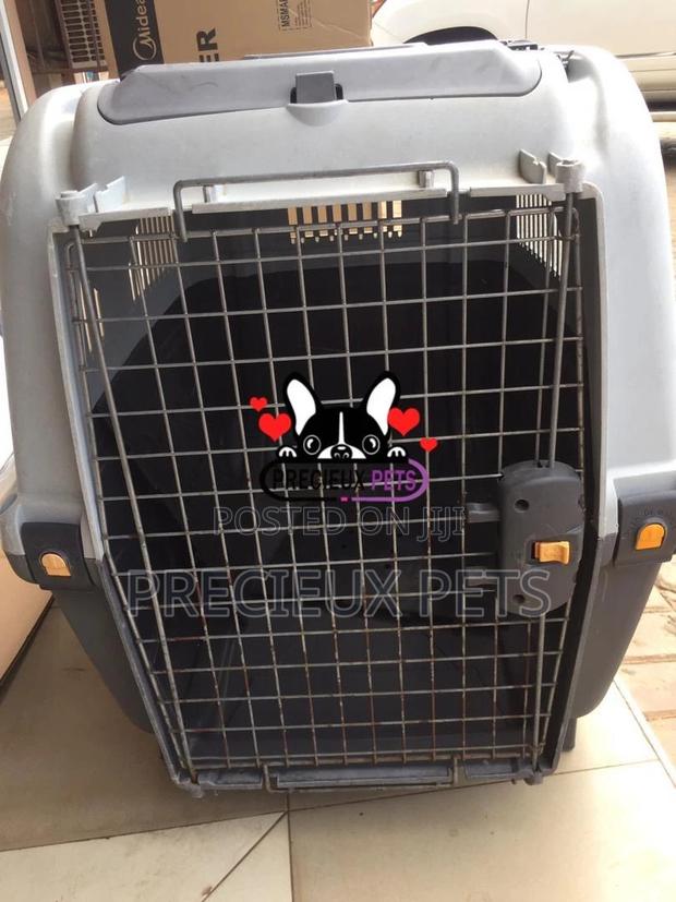 Large Breed Cage for Dogs · Photo 3