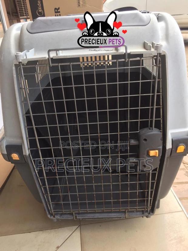 Large Breed Cage for Dogs · Photo 2