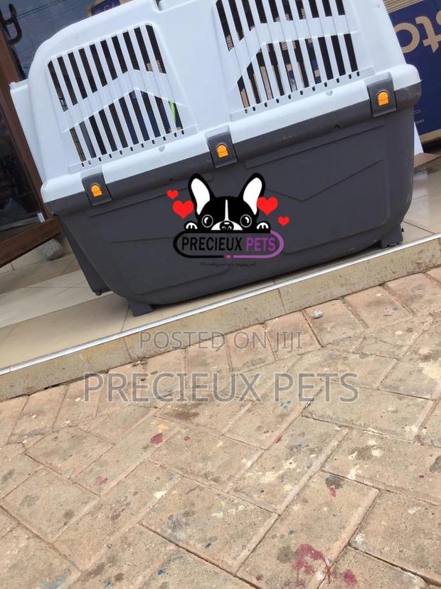 Large Breed Cage for Dogs · Photo 1