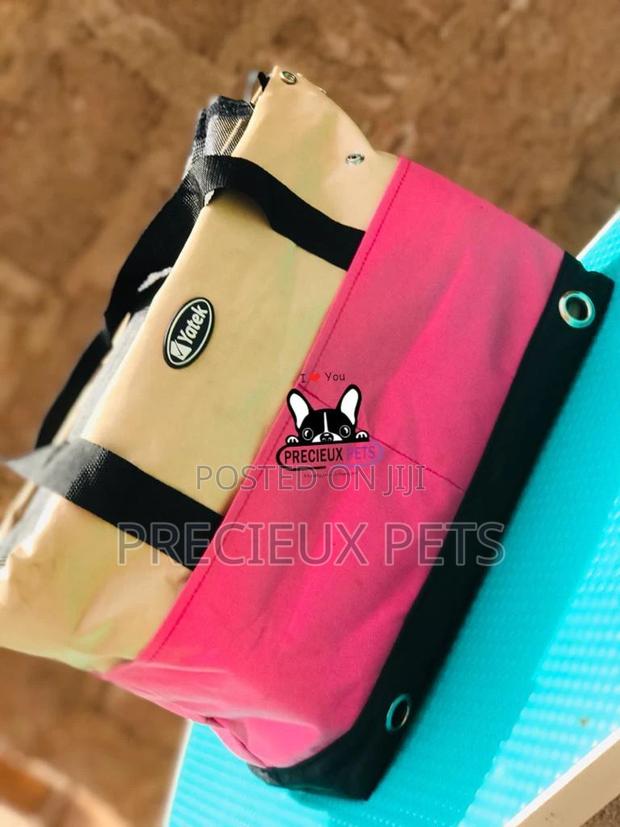 Mobile Toy Dog Bag Series 2021-2 · Photo 1