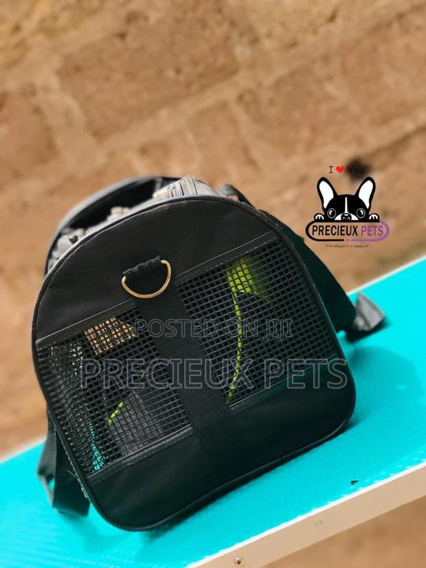 Mobile Toy Dog Bag Series 2021-3 · Photo 1