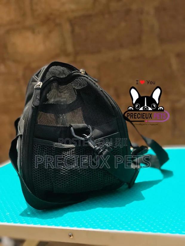 Mobile Toy Dog Bag Series 2021-5 · Photo 1