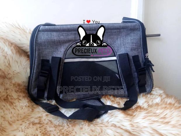 Mobile Toy Dog Bag Series 2021-14 · Photo 1