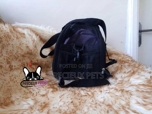 Mobile Toy Dog Bag Series 2021-30 · Photo 1