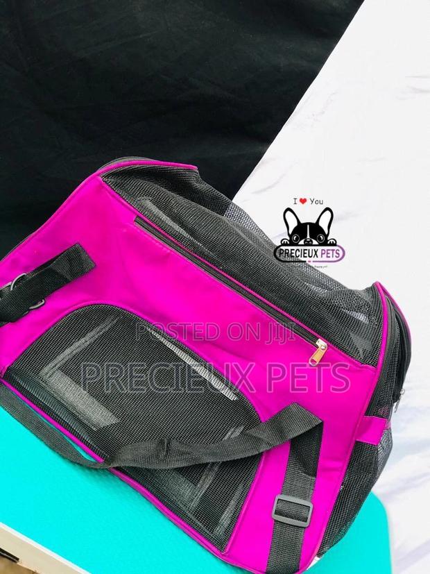 Mobile Toy Dog Bag Series 2021-16 · Photo 1