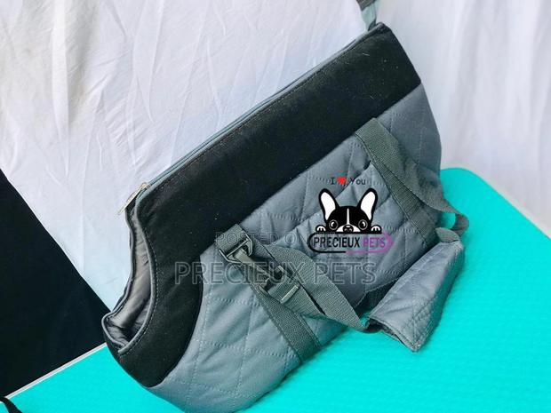 Mobile Toy Dog Bag Series 2021-24 · Photo 2