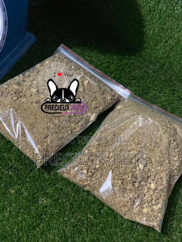3 Weeks Plus Puppies and Kittens Powder Food · Photo 2