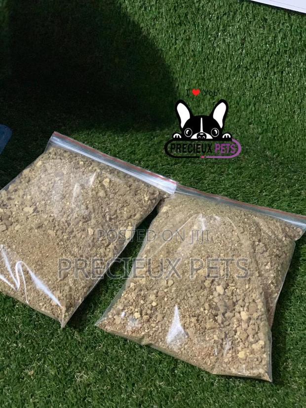 3 Weeks Plus Puppies and Kittens Powder Food · Photo 4