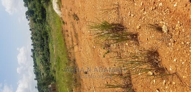 Two Plots for Sale at Santasi Darko · Photo 3