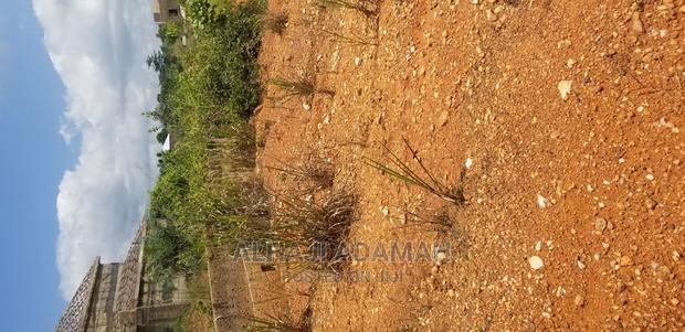 Two Plots for Sale at Santasi Darko · Photo 5