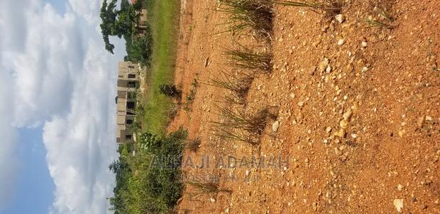 Two Plots for Sale at Santasi Darko · Photo 7