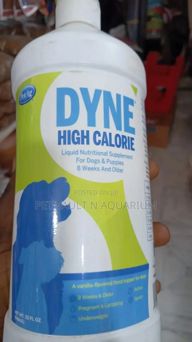 Dyne High Calorie Supplement(Big Size) · Photo 1