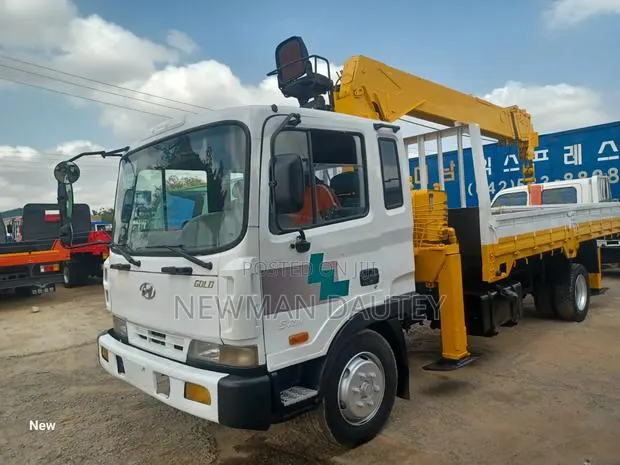 Hyundai Crane Truck · Photo 1
