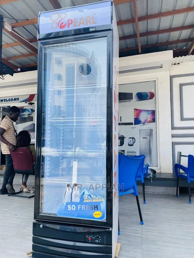 Latest Affordable and Durable PearlPVC 49–368L Store Fridge · Photo 1