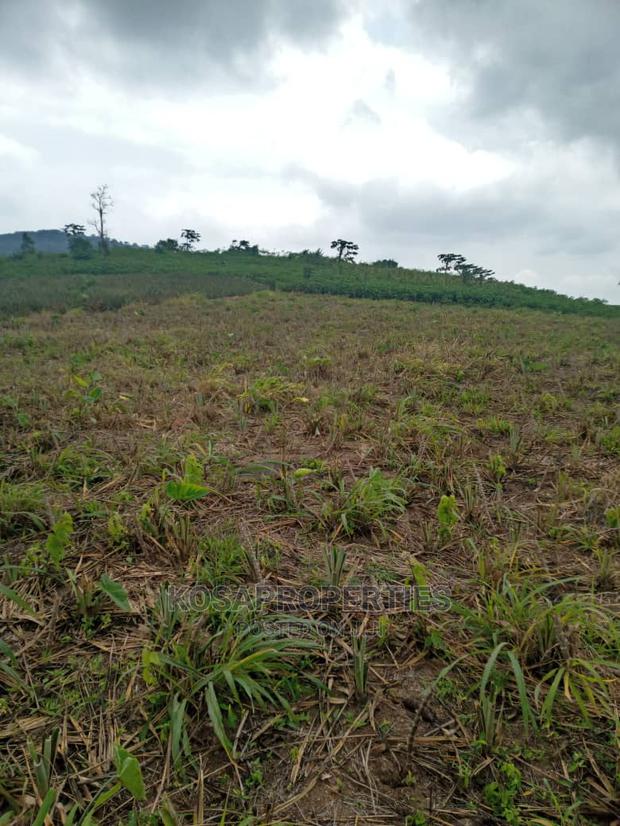 Service Land for Sale at Kasoa Kweikrom · Photo 1