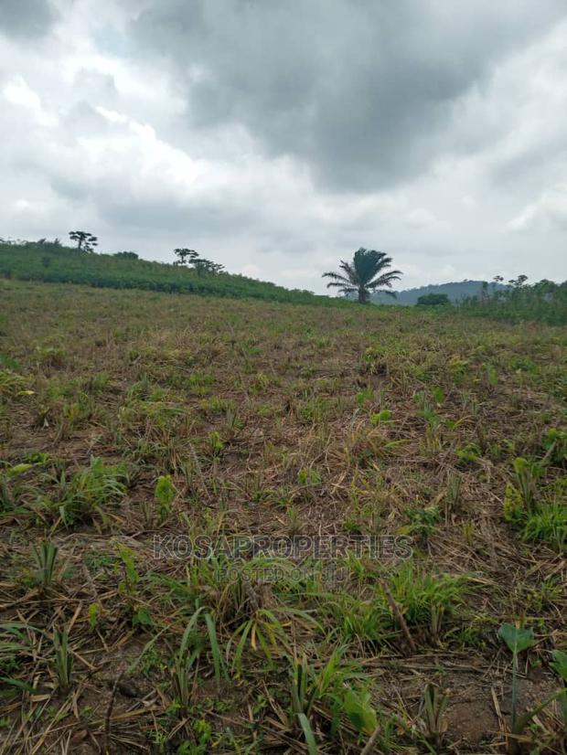 Service Land for Sale at Kasoa Kweikrom · Photo 3