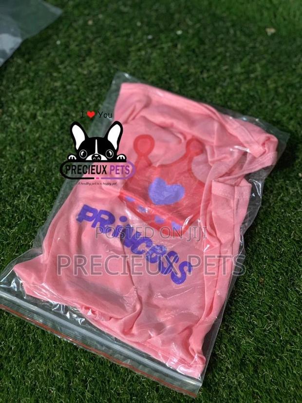 Toy Dog Clothing Series 2 · Photo 2