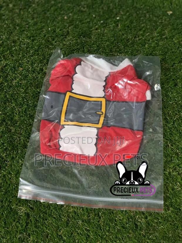 Toy Dog Cloth Series 5 · Photo 1