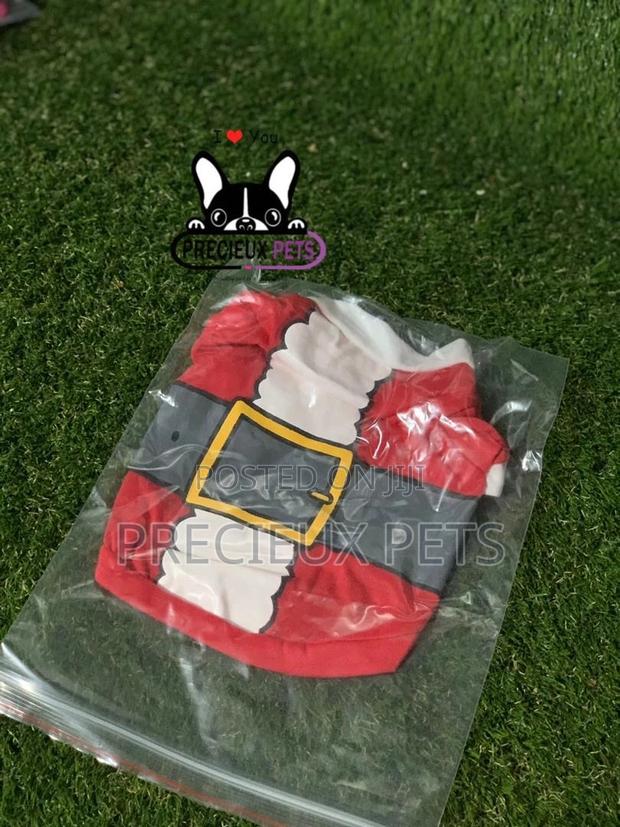 Toy Dog Cloth Series 5 · Photo 2