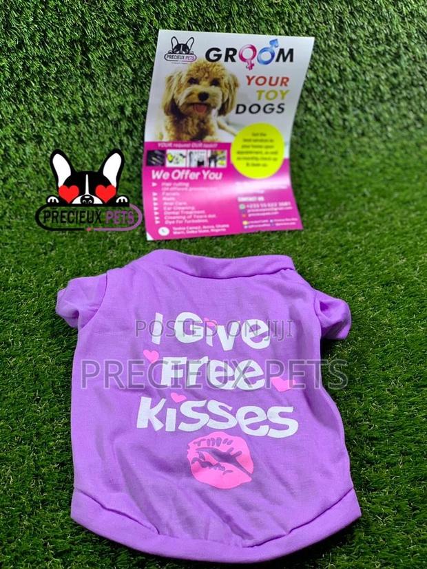 Toy Dog Clothings Series 7 · Photo 1