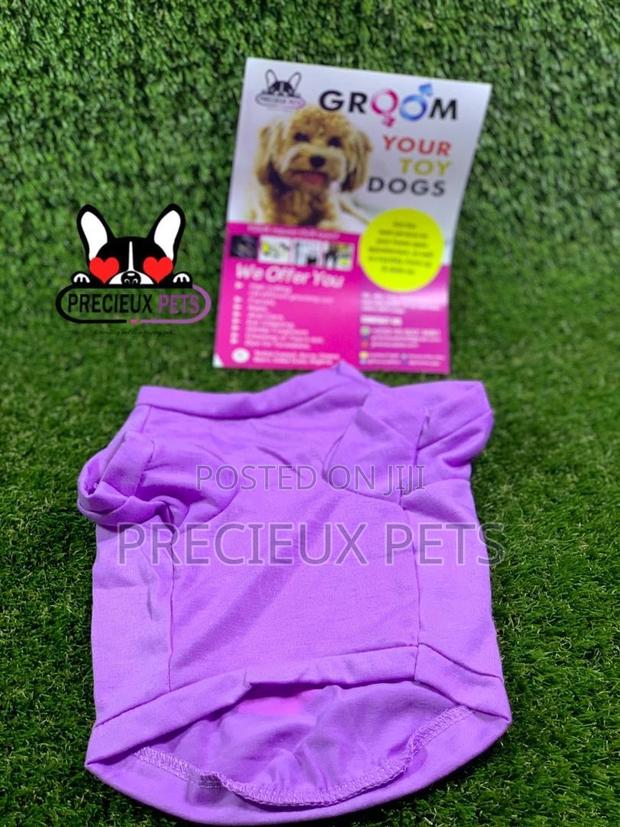 Toy Dog Clothings Series 7 · Photo 3
