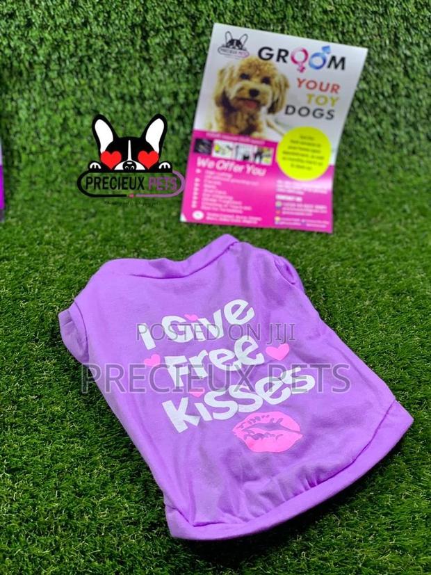 Toy Dog Clothings Series 7 · Photo 4