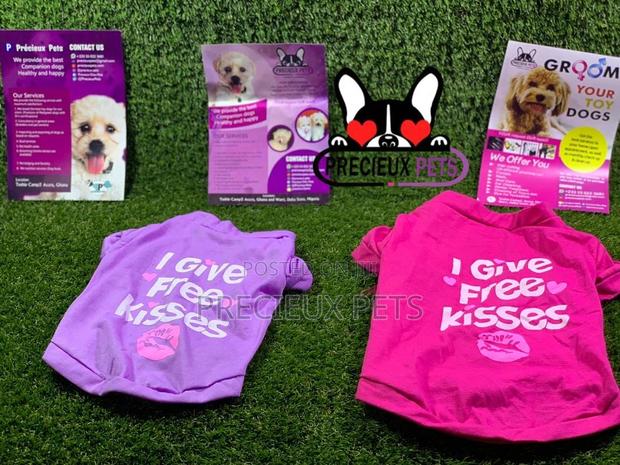 Toy Dog Clothings Series 7 · Photo 6