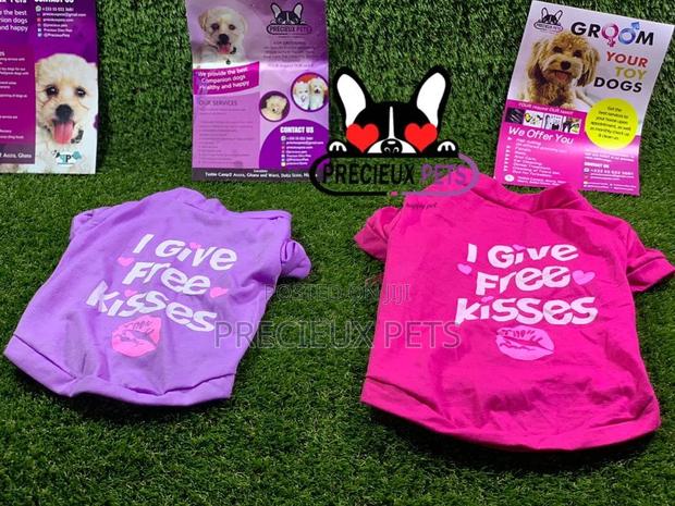 Toy Dog Clothings Series 7 · Photo 5