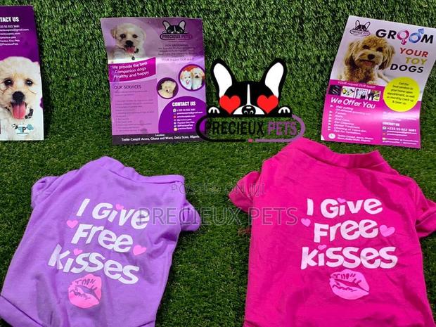 Toy Dog Clothings Series 7 · Photo 7
