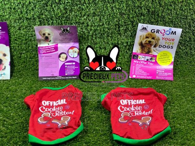 Toy Dog Clothings Series 8 · Photo 5