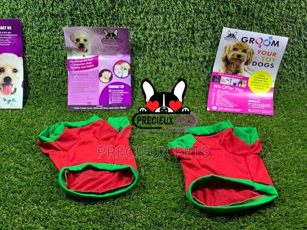 Toy Dog Clothings Series 8 · Photo 6