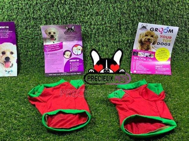 Toy Dog Clothings Series 8 · Photo 7