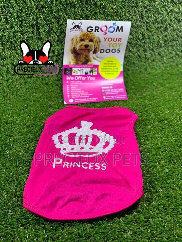 Toy Dog Clothings Series 9 · Photo 1