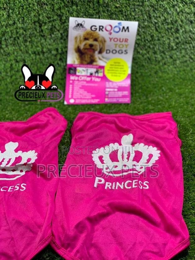 Toy Dog Clothings Series 9 · Photo 7