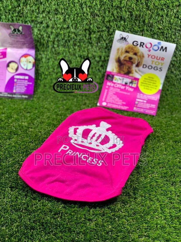 Toy Dog Clothings Series 9 · Photo 3