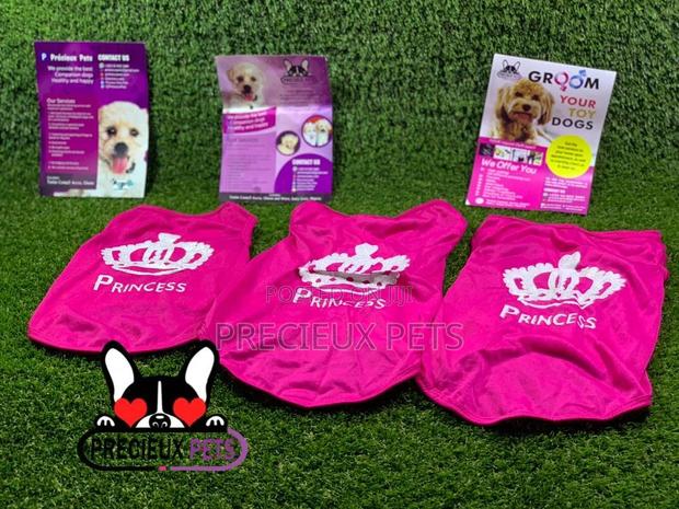 Toy Dog Clothings Series 9 · Photo 5