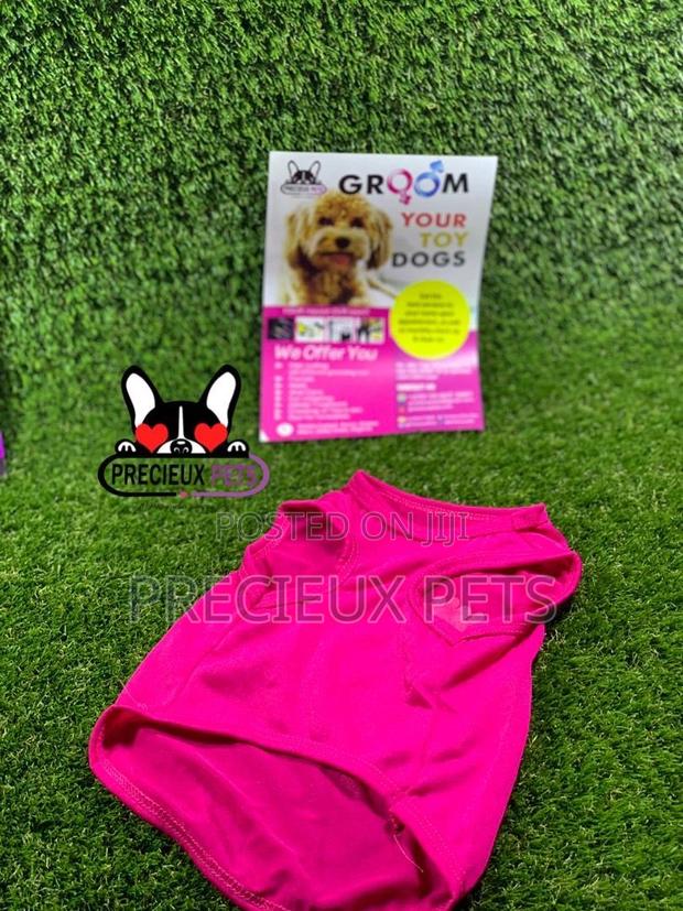 Toy Dog Clothings Series 9 · Photo 4