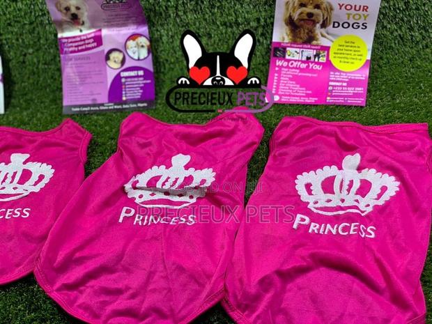 Toy Dog Clothings Series 9 · Photo 8